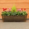 Autumn Cheerful Trough 55cm - Squire's Exclusive
