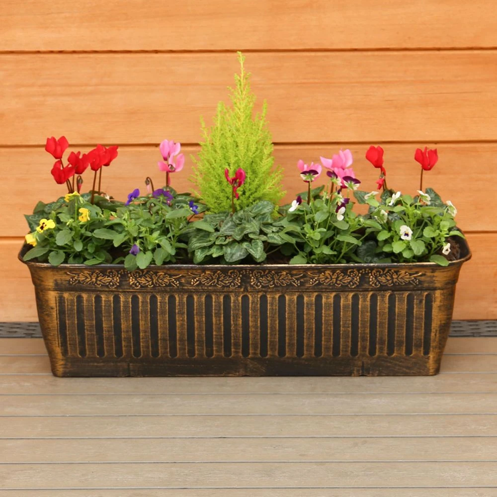 Autumn Cheerful Trough 55cm - Squire's Exclusive 3 Autumn Cheerful Trough 55cm - Squire's Exclusive