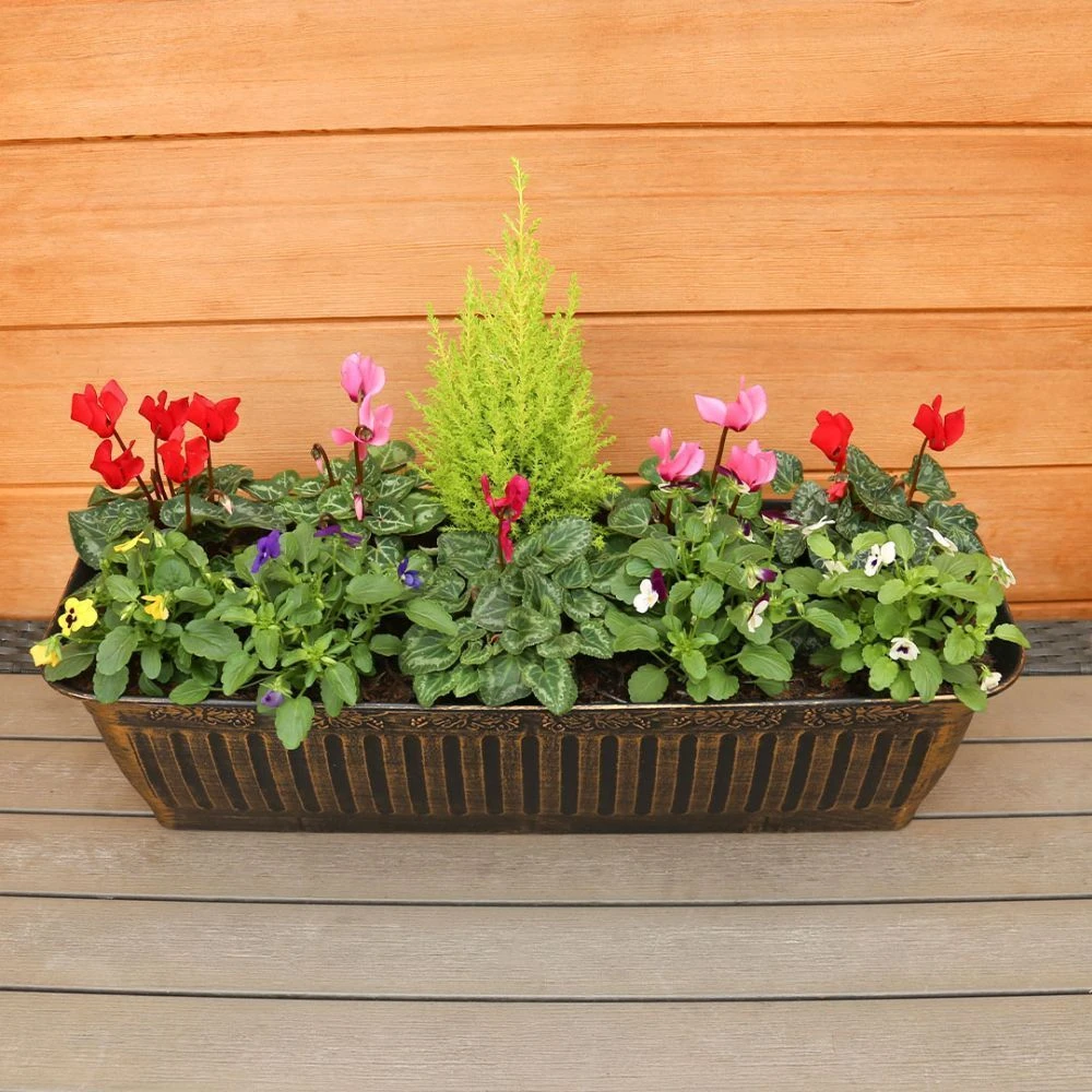 Autumn Cheerful Trough 55cm - Squire's Exclusive 4 Autumn Cheerful Trough 55cm - Squire's Exclusive - Image 2