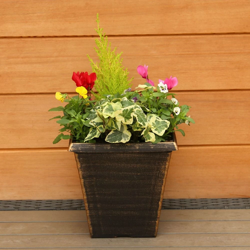 Autumn Cheerful Planter 28cm - Squire's Exclusive 3 Autumn Cheerful Planter 28cm - Squire's Exclusive