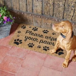 Wipe Your Paws Mat - 75cm X 45cm
