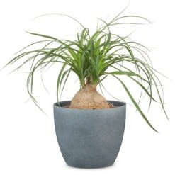 New Arrival 12 Dark Stone Effect Indoor Pot Cover 25cm