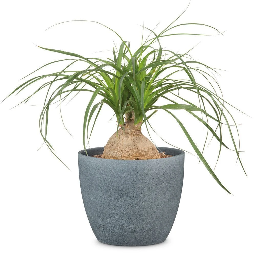 Dark Stone Effect Indoor Pot Cover 25cm 3 Dark Stone Effect Indoor Pot Cover 25cm