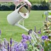 Watering Can 4.5 Litre - Cream