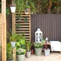 Direct - Dining Pergola 10 Direct - Dining Pergola -Terra Bloom Furniture Shop 10236411 DINPERG 7