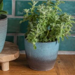 New Arrival 7 Ocean Blue Indoor Pot Cover 19cm