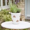 Bumble Pot - 31cm -Terra Bloom Furniture Shop 10253553 BUMBLE 1 1