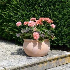 Bavaria Bowl Pot - 29cm