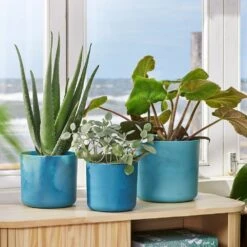 New Arrival -Terra Bloom Furniture Shop 10273861 10273863 10273865 10273867 the ocean collection blue.i1b