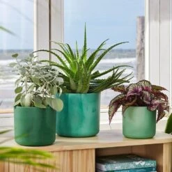 New Arrival -Terra Bloom Furniture Shop 10273862 102738624 10273866 10273868 the ocean collection green.i1