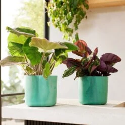 Elho - Ocean Collection - Pacific Green - Round 22cm -Terra Bloom Furniture Shop 10273862 102738624 10273866 10273868 the ocean collection green.i2.jpg