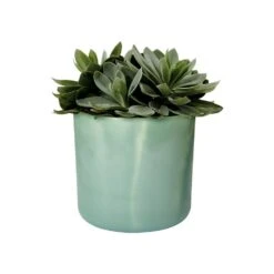 Elho - Ocean Collection - Pacific Green - Round 22cm -Terra Bloom Furniture Shop 1027386220 2010273862420 201027386620 201027386820 20b.for20marble20round20ocean20green.p2