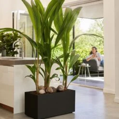 Vivo Next Long Trough - Living Black 80cm -Terra Bloom Furniture Shop 10276447 vivo next long 80 living black 3