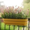 Elho Vibia Campana All In 1 Trough - Honey Yellow 70cm -Terra Bloom Furniture Shop 10276455 10276448 vibia campana all in 1 honey yellow.i2
