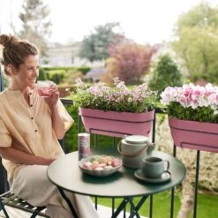 Elho Vibia Campana All In 1 Trough - Dusty Pink 70cm -Terra Bloom Furniture Shop 10276456 vibia campana all in 1 dusty pink.i1